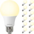 DEGNJU A19 LED Light Bulbs, 60 Watt Equivalent LED Bulbs, 12 Pack